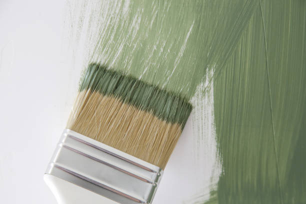 Best Mold Remediation for Healthcare Facilities  in Moriarty, NM