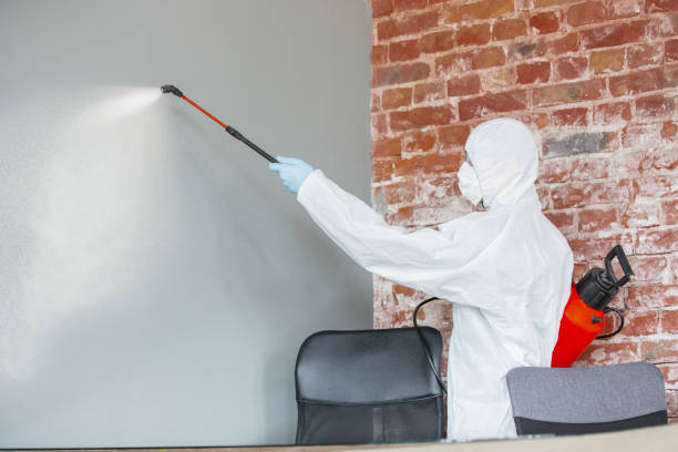 Environmental Consulting for Mold Prevention in Moriarty, NM