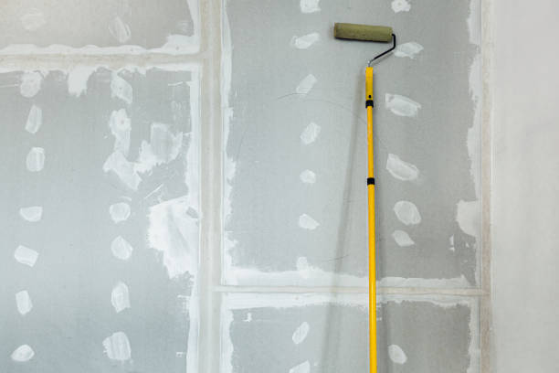 Best Basement Mold Removal  in Moriarty, NM