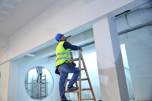 Best Industrial Mold Remediation  in Moriarty, NM
