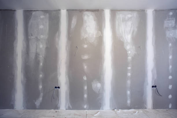 Reliable Moriarty, NM Mold Removal Solutions