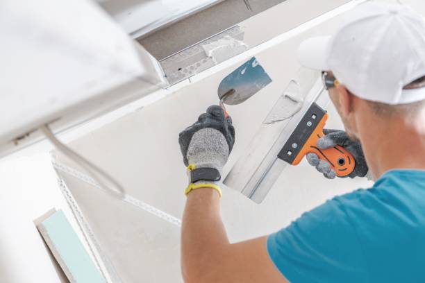 Best Mold Removal for HVAC Installations  in Moriarty, NM